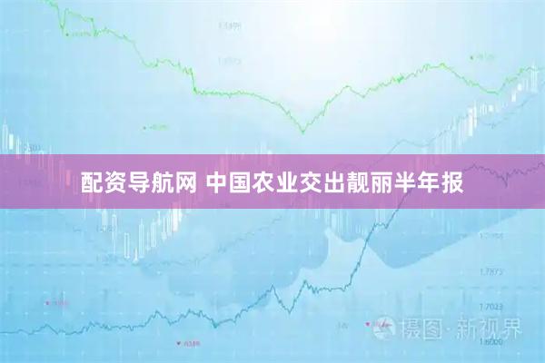 配资导航网 中国农业交出靓丽半年报