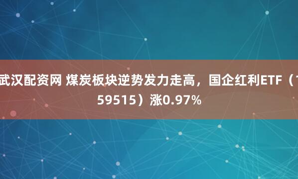 武汉配资网 煤炭板块逆势发力走高,国企红利ETF(159515)涨0.97%