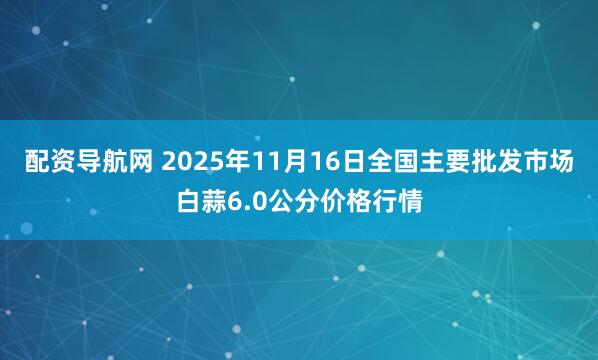 配资导航网 2025年11月16日全国主要批发市场白蒜6.0公分价格行情