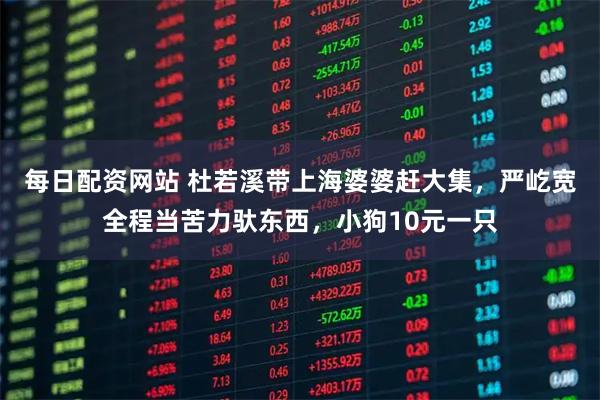 每日配资网站 杜若溪带上海婆婆赶大集,严屹宽全程当苦力驮东西,小狗10元一只