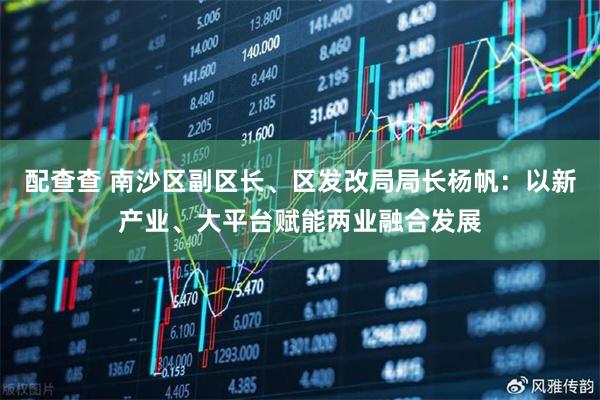 配查查 南沙区副区长、区发改局局长杨帆：以新产业、大平台赋能两业融合发展