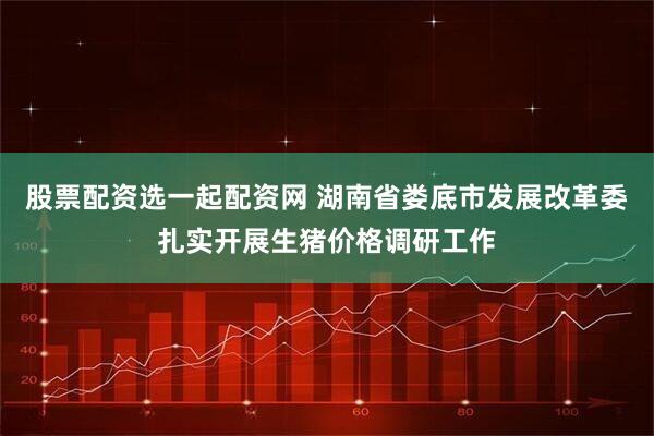 股票配资选一起配资网 湖南省娄底市发展改革委扎实开展生猪价格调研工作